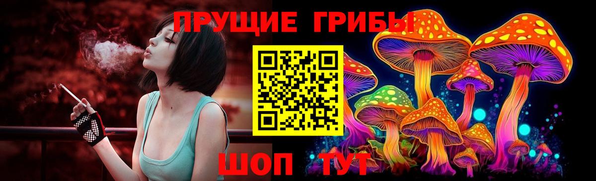 Псилоцибиновые грибы Psilocybe  Вход с VPN  Галлюциногенные грибы MAGIC MUSHROOMS  Каменск-Шахтинский 