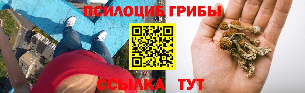 Галлюциногенные грибы Psilocybine cubensis Каменск-Шахтинский